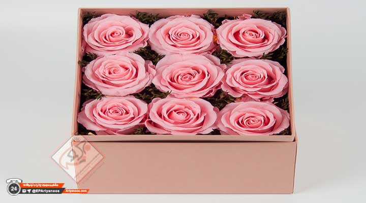 خرید جعبه گل خالی | جعبه گل مقوایی | جعبه گل و شکلات | باکس گل هدیه | قیمت جعبه گل | جعبه گل ارزان | طراحی و تولید جعبه گل | ساخت جعبه گل | بسته بندی گل | کارتن گل | چاپ اختصاصی جعبه گل | باکس گل | فروش جعبه گل | تولید کارتن گل | ساخت انواع جعبه گل در تهران | فروش باکس گل